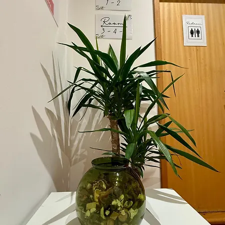 Apartamento In Arroios *