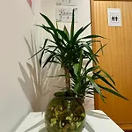 Apartman In Arroios *